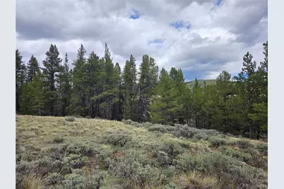 700 Looney Lane, Alma, CO 80420 - Photo 17