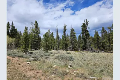 700 Looney Lane, Alma, CO 80420 - Photo 41