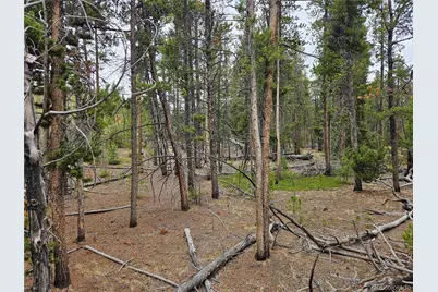 700 Looney Lane, Alma, CO 80420 - Photo 31