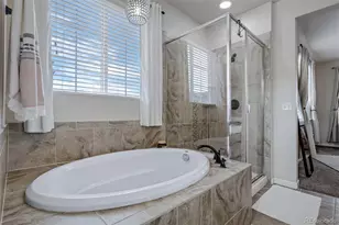 3231 Youngheart Way, Castle Rock, CO 80109 - Photo 25