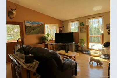33623 Smith Road, Pine, CO 80470 - Photo 5