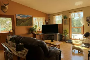 33623 Smith Rd, Pine, CO 80470 - Photo 5