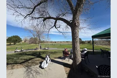 4 Shetland Court, Highlands Ranch, CO 80130 - Photo 45