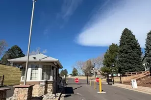 4 Shetland Ct, Highlands Ranch, CO 80130 - Photo 41