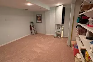 4 Shetland Ct, Highlands Ranch, CO 80130 - Photo 39