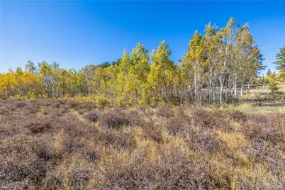 Lot 2A & 2B, Red Feather Lakes, CO 80545 - Photo 5