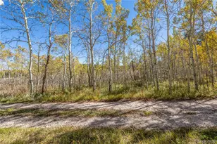 Lot 2A & 2B, Red Feather Lakes, CO 80545 - Photo 1
