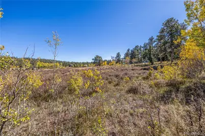 Lot 2A & 2B, Red Feather Lakes, CO 80545 - Photo 11