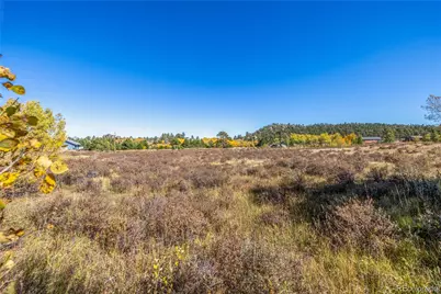 Lot 2A & 2B, Red Feather Lakes, CO 80545 - Photo 9