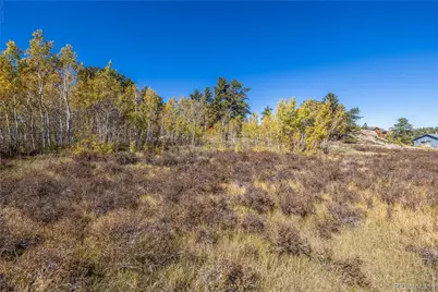 Lot 2A & 2B, Red Feather Lakes, CO 80545 - Photo 7