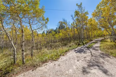 Lot 2A & 2B, Red Feather Lakes, CO 80545 - Photo 3