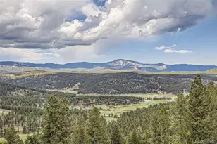 72 Hilltop Dr, Bailey, CO 80421 - Photo 13