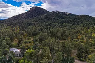 9273 Curtis Rd, Larkspur, CO 80118 - Photo 43