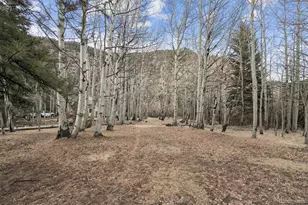 74 Silver Lode Cir, Dumont, CO 80436 - Photo 37