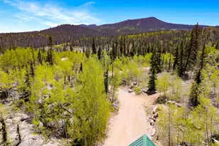 216 Ambush Ln, Jefferson, CO 80456 - Photo 45