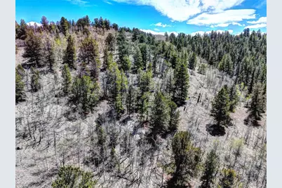 194 Bufflehead Circle, Como, CO 80432 - Photo 21