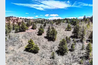 194 Bufflehead Circle, Como, CO 80432 - Photo 13
