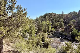 10795 Co Rd 197A, Nathrop, CO 81236 - Photo 21