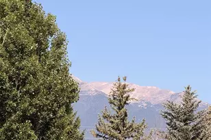 10795 Co Rd 197A, Nathrop, CO 81236 - Photo 25