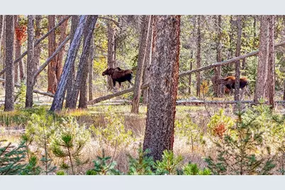 Tbd Highway 82, Twin Lakes, CO 81251 - Photo 33
