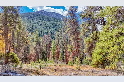 Tbd Highway 82, Twin Lakes, CO 81251 - Photo 39