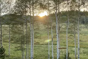 2842 Wendt Ln, Fort Garland, CO 81133 - Photo 33