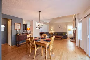 1151 W English Sparrow Trail, Highlands Ranch, CO 80129 - Photo 13