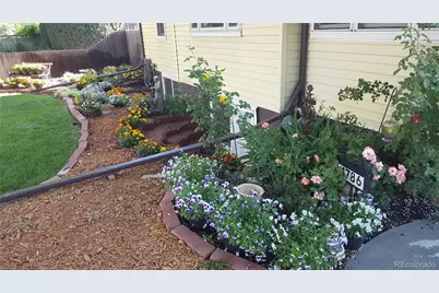 4786 Teller Street, Wheat Ridge, CO 80033 - Photo 9