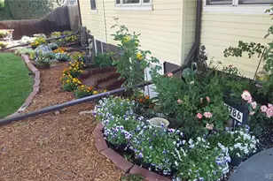 4786 Teller St, Wheat Ridge, CO 80033 - Photo 9