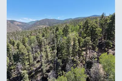 6031 Bruce Road, Fort Garland, CO 81133 - Photo 3