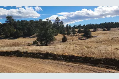 47 White Cloud Drive, Cotopaxi, CO 81223 - Photo 3