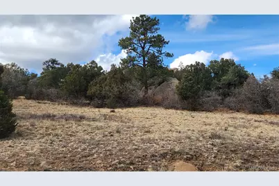 47 White Cloud Drive, Cotopaxi, CO 81223 - Photo 27