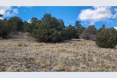 47 White Cloud Drive, Cotopaxi, CO 81223 - Photo 11