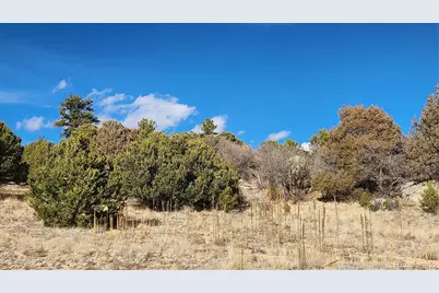 47 White Cloud Drive, Cotopaxi, CO 81223 - Photo 23