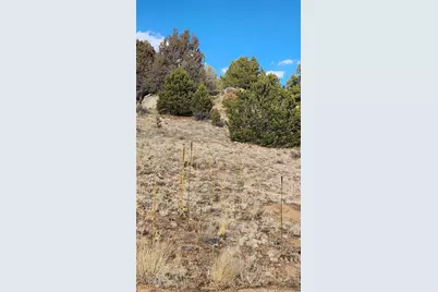 47 White Cloud Drive, Cotopaxi, CO 81223 - Photo 29