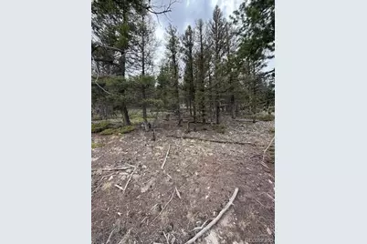 2689 Redhill Road, Fairplay, CO 80440 - Photo 13