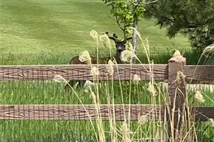 [Address not provided], Colorado Springs, CO - Photo 35