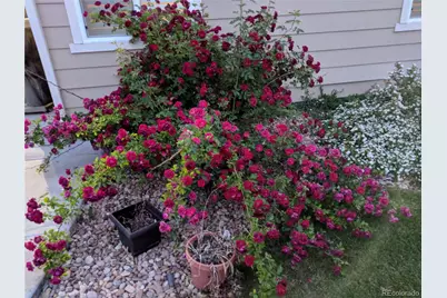 12216 S Great Plain Way, Parker, CO 80134 - Photo 7