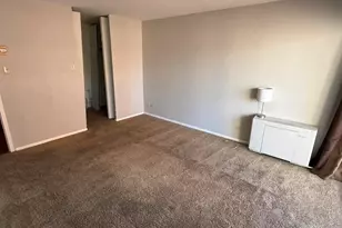 888 N Logan Street, Denver, CO 80203 - Photo 11