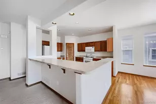 578 Burke Hollow Dr, Monument, CO 80132 - Photo 11