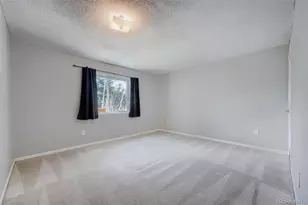 578 Burke Hollow Dr, Monument, CO 80132 - Photo 31