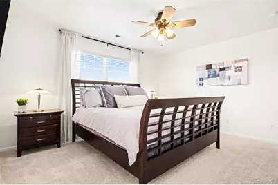 90 Falmouth Street, Castle Rock, CO 80104 - Photo 23