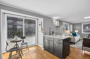 336 N Grant St, Denver, CO 80203 - Photo 9