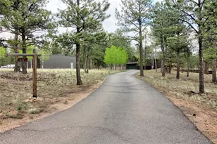 850 Hangmans Rd, Bailey, CO 80421 - Photo 3