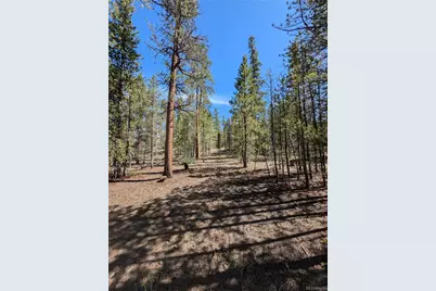 495 Birch Drive, Twin Lakes, CO 81251 - Photo 5