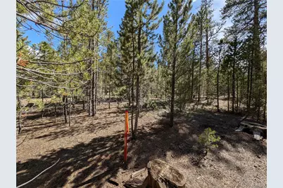 495 Birch Drive, Twin Lakes, CO 81251 - Photo 7