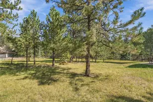 2260 Interlocken Dr, Evergreen, CO 80439 - Photo 35