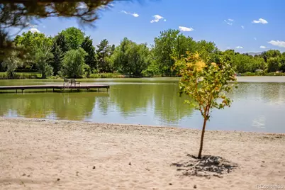 5816 S Lupine Drive, Littleton, CO 80123 - Photo 41