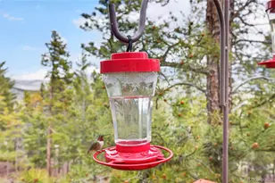 1856 Santa Fe Mountain Rd, Evergreen, CO 80439 - Photo 27