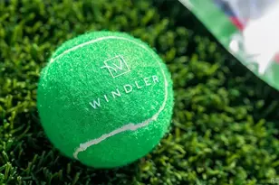 24170 E 54th Pl, Aurora, CO 80019 - Photo 9